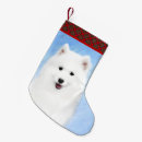 Recherche de puppys chaussette de noël Chiot