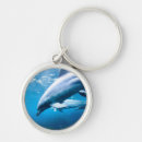 Suche nach delphin schlüsselanhänger Unterwasser