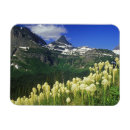 Suche nach logan magnete Gletscher