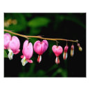 Suche nach blutendes herz poster Rosa