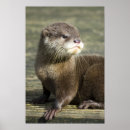 Suche nach otter babyzimmer einrichtung Braun