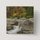 Recherche de rivière badges Automne