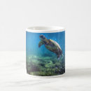 Recherche de tortue de mer tasses Tropical