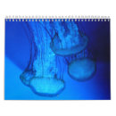 Recherche de clown calendriers Mer