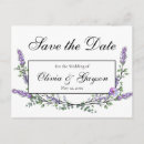 Suche nach eukalyptus postkarten Elegant