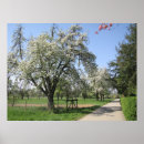 Suche nach blühender baum poster Himmel