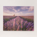 Suche nach lavendel blume puzzle Lila