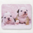 Suche nach englische bulldogge mousepads Horizontal