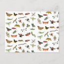 Suche nach käfer vintage postkarten Insekt