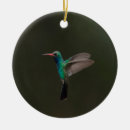 Suche nach kolibrie ornamente Tier