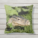 Recherche de lézard en coussins Reptile