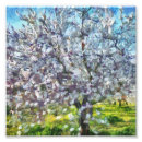 Recherche de pointu art Nature