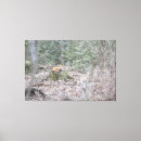 Suche nach fuchs kunst Landschaft