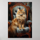 Suche nach maine coon poster Tabelle