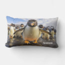 Suche nach lustiger pinguin kissen Pinguine