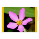 Suche nach funky blumen postkarten Lila