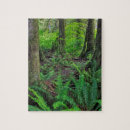 Suche nach farne puzzle Wald