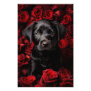 Suche nach schwarzer labrador retriever hund poster Jagdhund