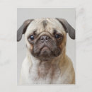 Suche nach portraits postkarten Baby