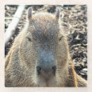 Suche nach nagel untersetzer Niedlich