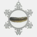 Suche nach die gurken ornamente Pflücken