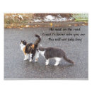 Suche nach lustige fotos poster Für sie