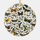 Suche nach schmetterlinge und motten ornamente Raupe