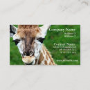 Suche nach zoo visitenkarten Wilde tiere