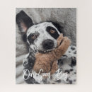 Suche nach haustiere puzzle Foto