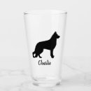 Recherche de allemand sheperd Gsd