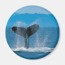 Recherche de boose magnets Mer