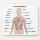 Suche nach herz anatomie mousepads Gehirn