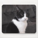 Suche nach lustiges katzen foto mousepads Niedlich