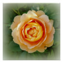 Recherche de rose et or posters Pour tous