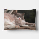 Recherche de voyage de chat sacs Animal