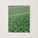 Suche nach kartoffel puzzle Landwirtschaft