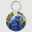 Suche nach macaw schlüsselanhänger Tropisch