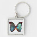 Suche nach verbreitet accessoires Schmetterling