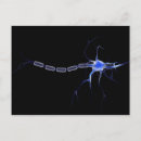 Recherche de neurones cartes postales Information