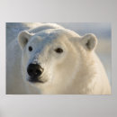 Suche nach der hudson poster Reise