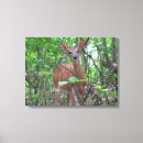 Suche nach bambi poster Natur
