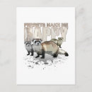 Recherche de le furet cartes postales Toute personne
