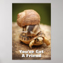 Suche nach snail poster Fotografie