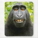 Suche nach lustiger affe mousepads Tiere