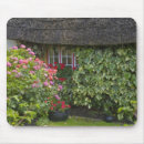 Suche nach efeu mousepads Blume