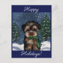 Suche nach yorkie poo postkarten Yorkies