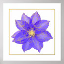 Suche nach clematis poster Lila