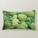 Recherche de hortensias coussins Floral