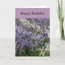 Suche nach lavendelfeld karten Natur