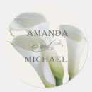 Recherche de calla Lys calla blanc